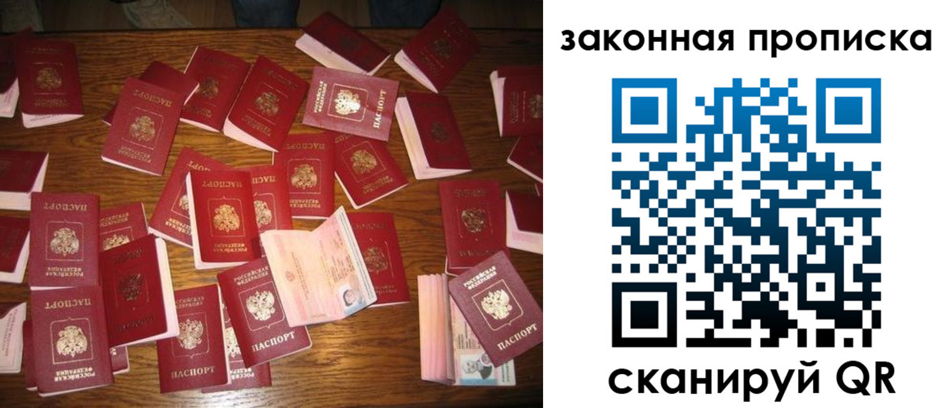 пропишу в квартире в Белой Калитве